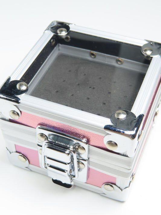 Caja de almacenamiento de fresas
